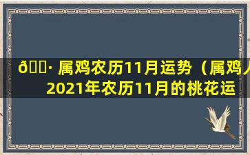 🌷 属鸡农历11月运势（属鸡人2021年农历11月的桃花运 🪴 ）